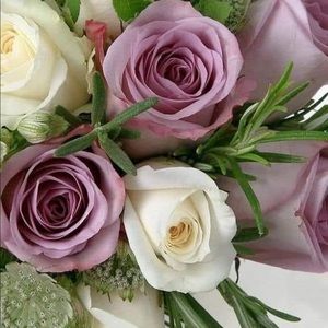 Meet your Posher, Mary ann